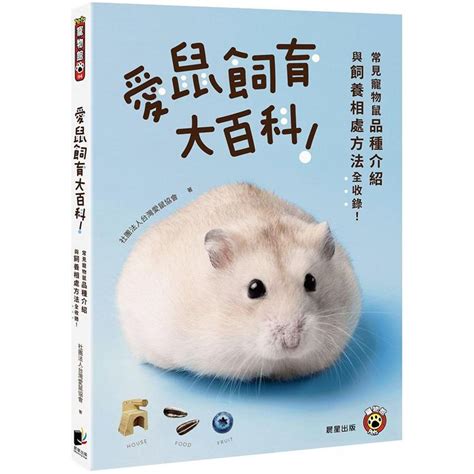 寵物老鼠種類|愛鼠飼育大百科：常見寵物鼠品種介紹與飼養相處方法全收錄！